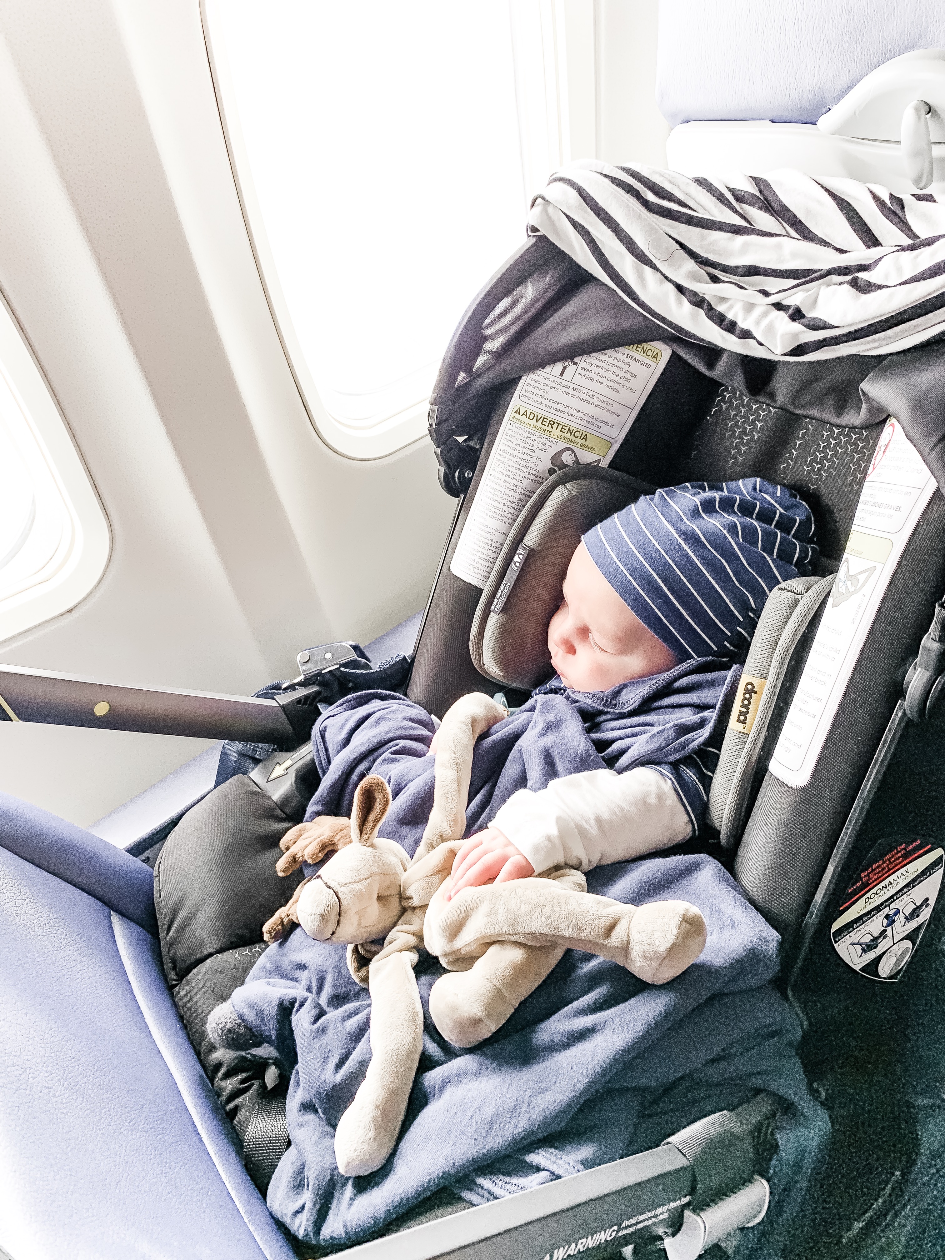 doona on a plane